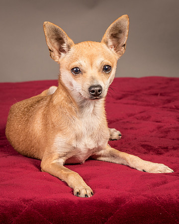 Foster Rosanna-3771