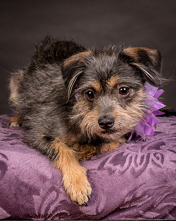 Foster Nadine-9648