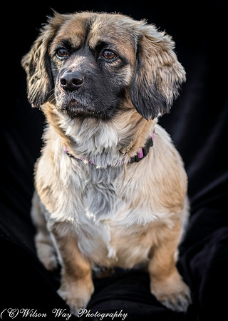 Foster Trudy-26
