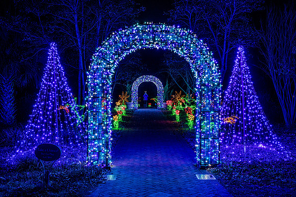 Christmas-2861