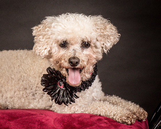 Foster Mae-9033