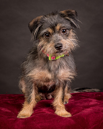 Foster Nadine-9625
