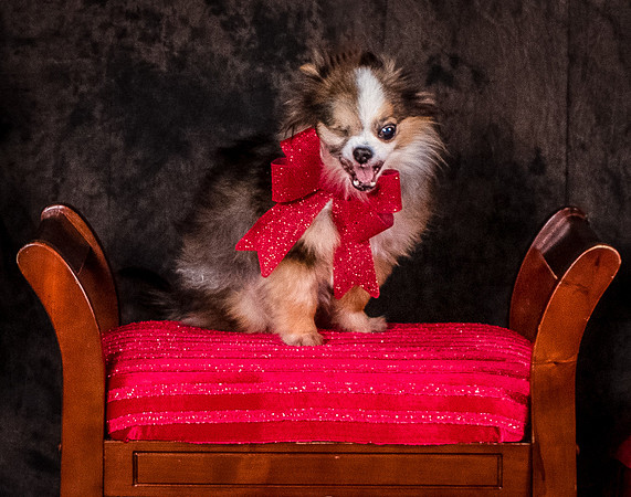 Foster Gabe-4424