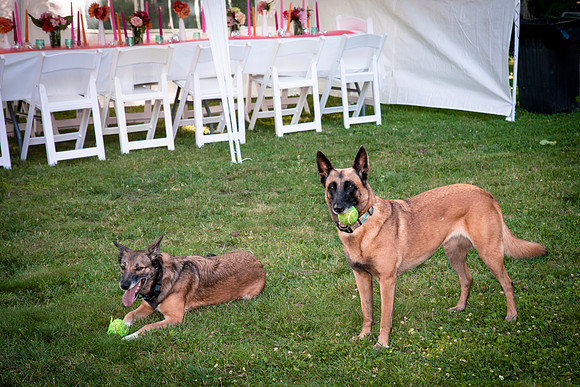 50th Birthday Party-8065