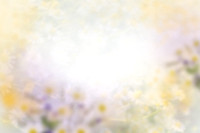 Frame_2