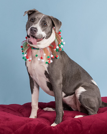 Foster Juliana-8084
