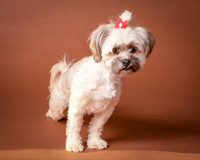 Foster Frida-9740