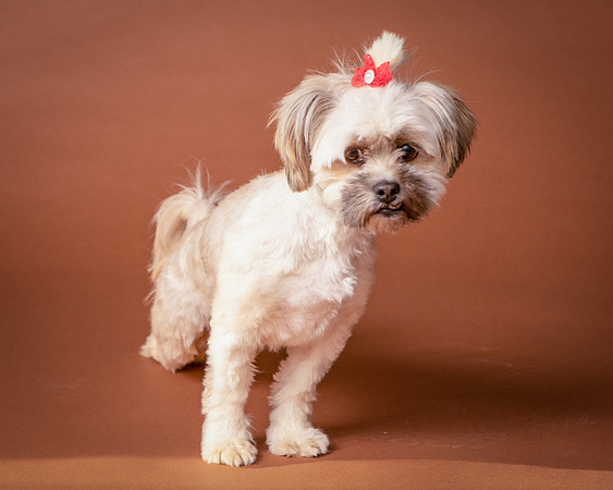 Foster Frida-9740