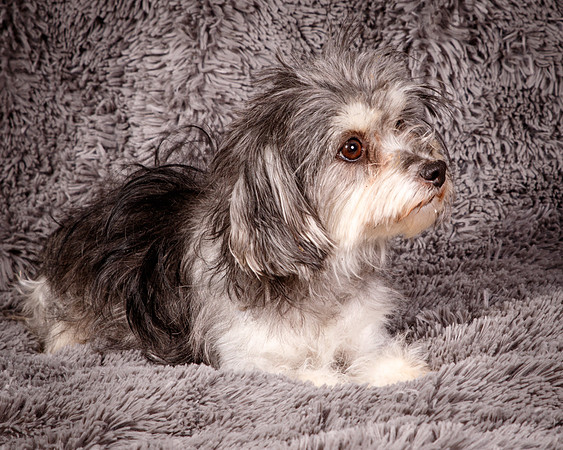 Foster Alex-6212