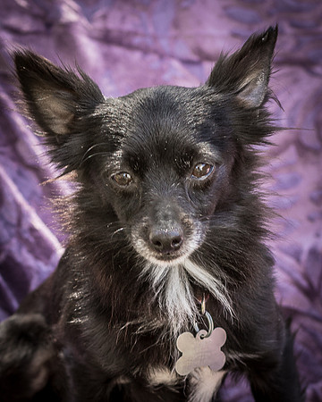 Foster Julio-6275