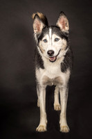 Bella-2427