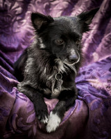 Foster Julio-6224