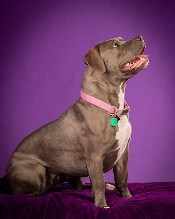 Daisy and Renegade-2552