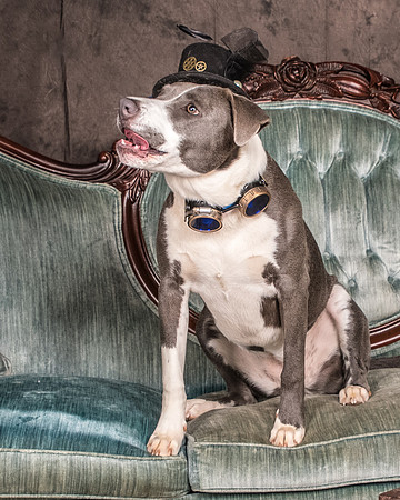Foster Juliana-8073
