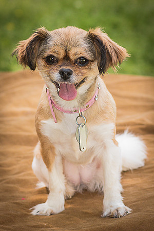 Foster Missy-0453