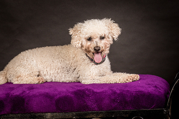 Foster Mae-8994
