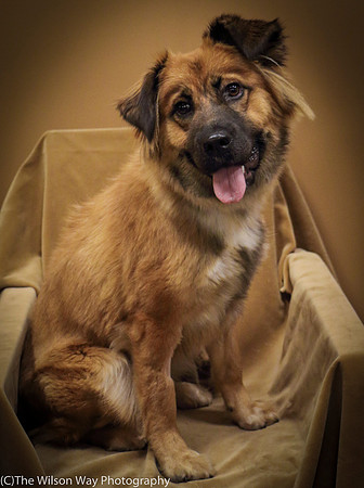Foster Blair-0627