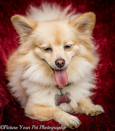 Foster Shirley-6133