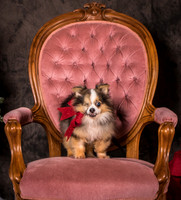 Foster Gabe-4392