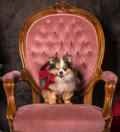 Foster Gabe-4392
