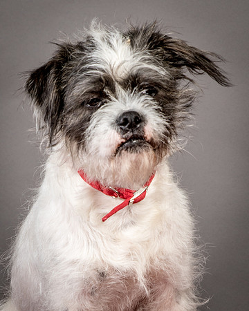 Foster Leeza-2712