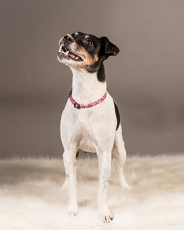Foster Pollyanna-3953