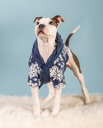 Foster Luna-4783