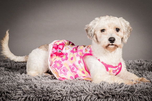 Foster Everly-2210