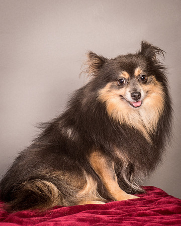 Foster Clint-4237