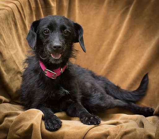 Foster Noche-0767