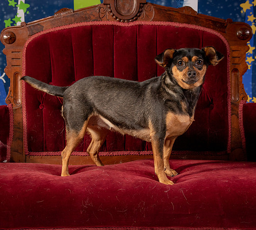 Foster Jolie-6489