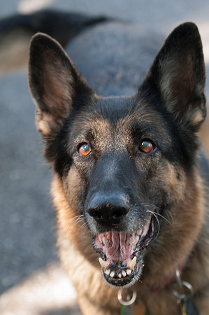 Gretchen-0809