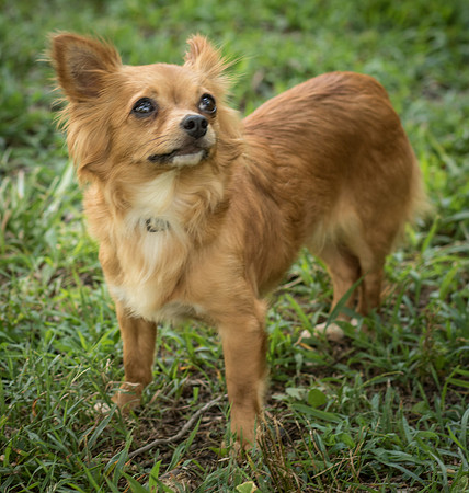 Foster Dolly-7773