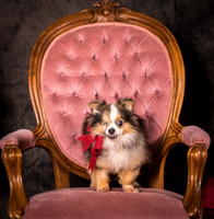Foster Gabe-4384