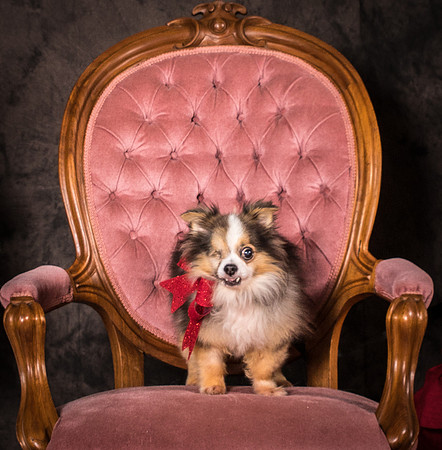 Foster Gabe-4384