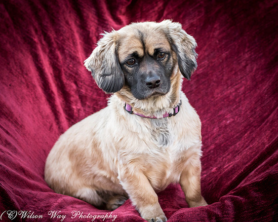 Foster Trudy-50