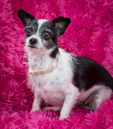 Foster Olive-7609