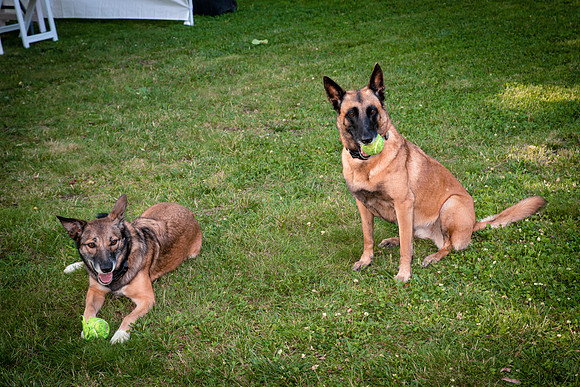 50th Birthday Party-8076