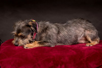 Foster Nadine-9579