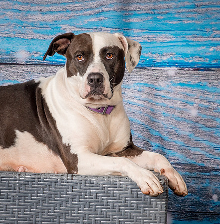 Foster Lucette-3236