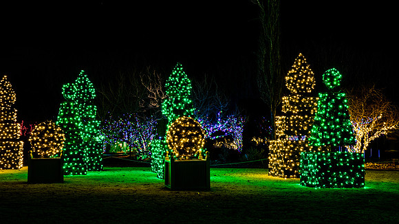 Christmas-2534