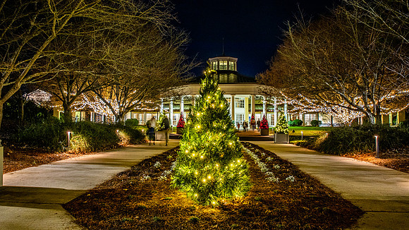 Christmas-2960