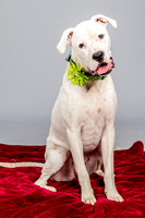 Foster Molly-3698