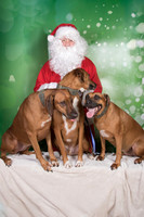 Santa Claus-3306