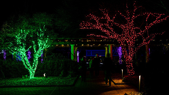 Christmas-2531