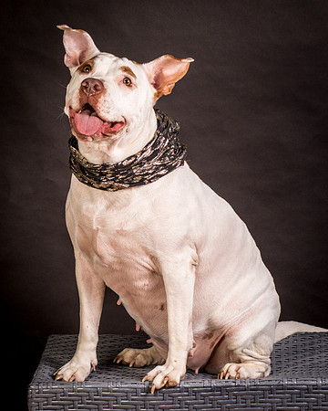 Foster Joanie-0441