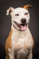 Foster Bowie-1241