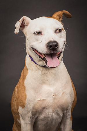 Foster Bowie-1241