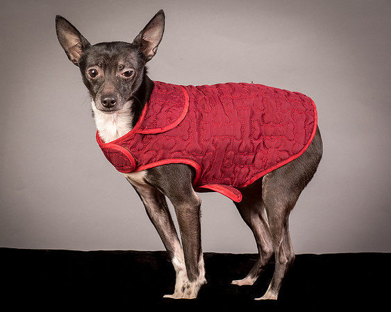 Foster Luc-9878