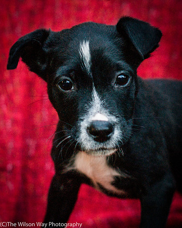 Foster Blythe-3907
